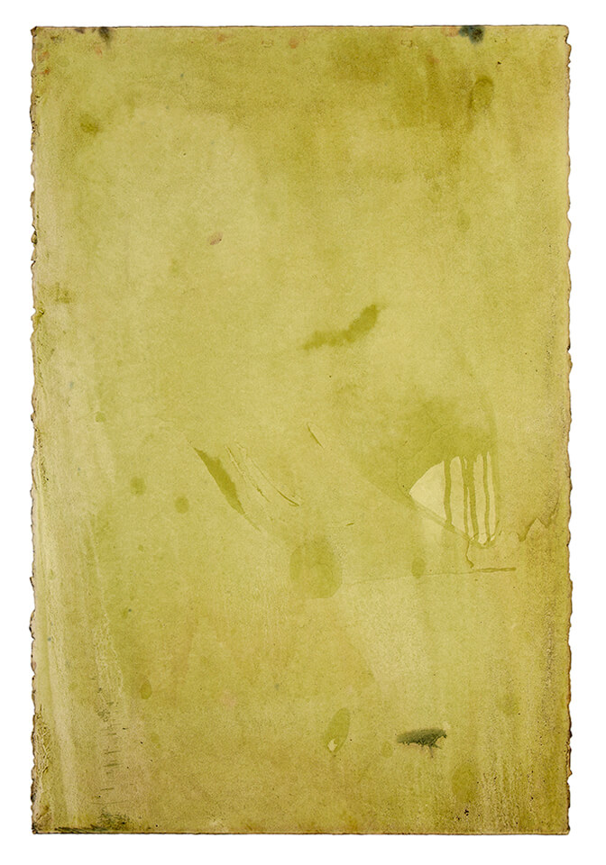 chontaduro papel 07.jpg